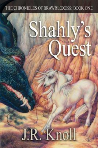 Kniha Shahly's Quest J.R. Knoll