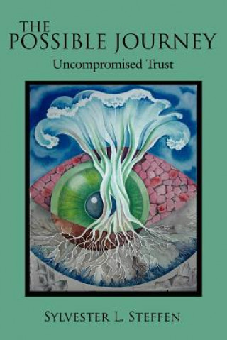 Knjiga Possible Journey Sylvester L Steffen