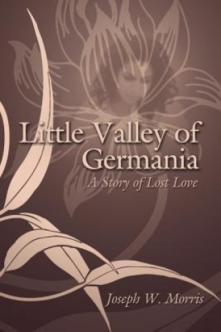 Kniha Little Valley of Germania Joseph W. Morris