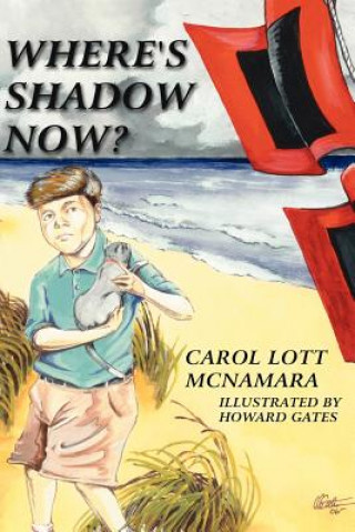 Kniha Where's Shadow Now? Carol Lott McNamara