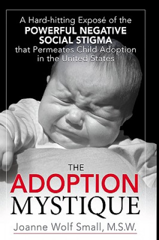 Libro Adoption Mystique Joanne Wolf Small