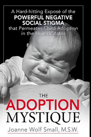 Książka Adoption Mystique Joanne Wolf Small