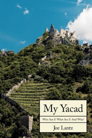 Libro My Yacad Joe Lantz