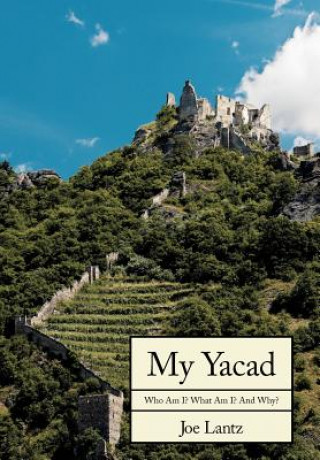 Książka My Yacad Joe Lantz