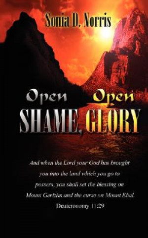 Knjiga Open Shame, Open Glory Sonia D Norris