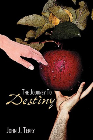 Kniha Journey To Destiny John J Terry