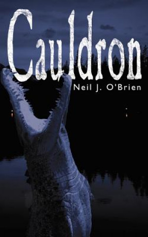 Könyv Cauldron Neil J O'Brien