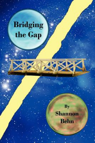 Kniha Bridging the Gap Shannon Behn