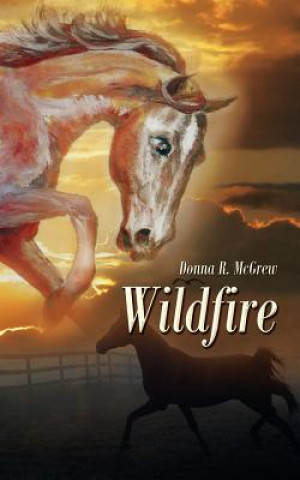 Kniha Wildfire Donna R McGrew