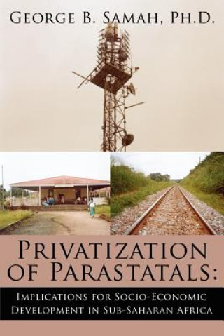 Книга Privatization of Parastatals George B Samah