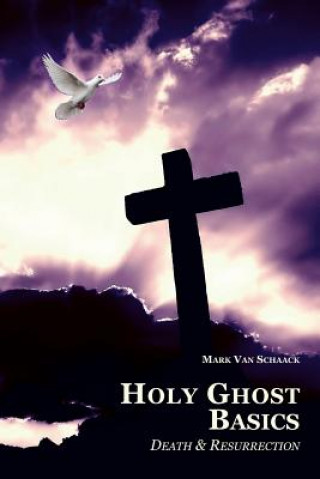 Book Holy Ghost Basics Mark Van Schaack