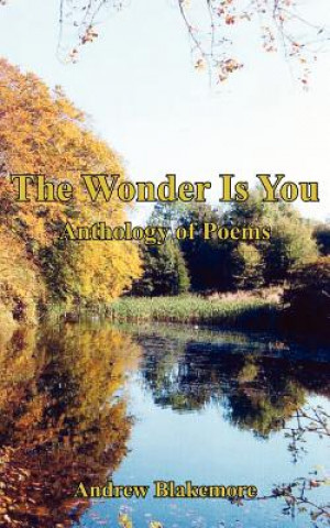 Książka Wonder Is You Andrew Blakemore