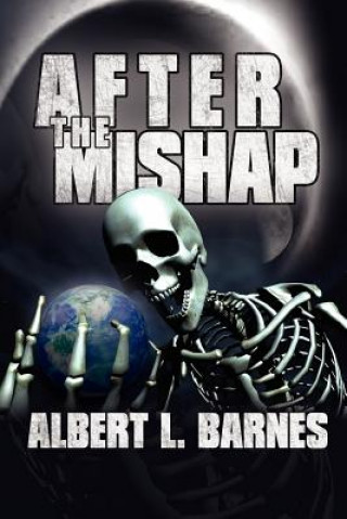 Book After the Mishap Albert L Barnes