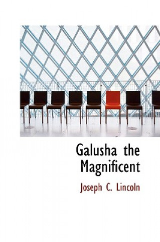 Carte Galusha the Magnificent Joseph C Lincoln
