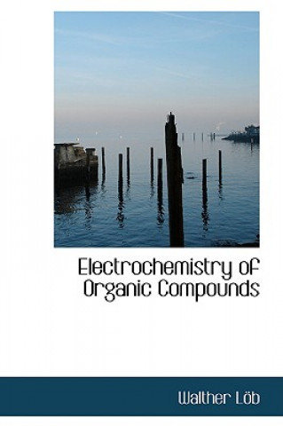 Kniha Electrochemistry of Organic Compounds Walther Lapb