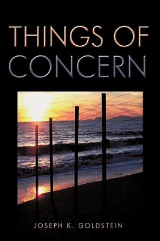 Kniha Things of Concern Joseph K. Goldstein