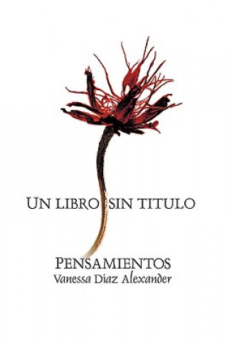 Kniha Libro Sin Titulo Vane Diaz