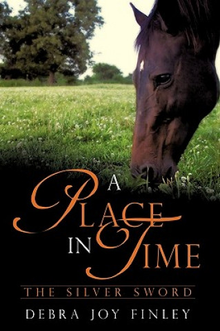 Kniha Place in Time Debra Joy Finley