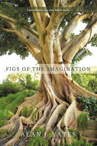 Kniha Figs of the Imagination Alan J. Yates