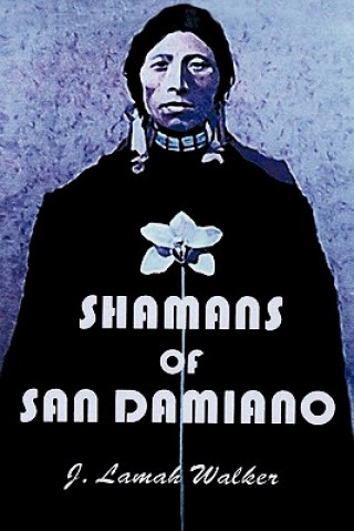 Buch Shamans of San Damiano J. Lamah Walker