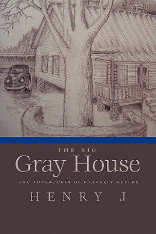 Книга Big Gray House J Henry