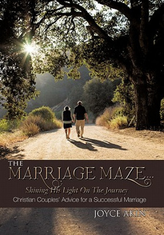 Buch Marriage Maze... Shining His Light on the Journey Joyce Akin