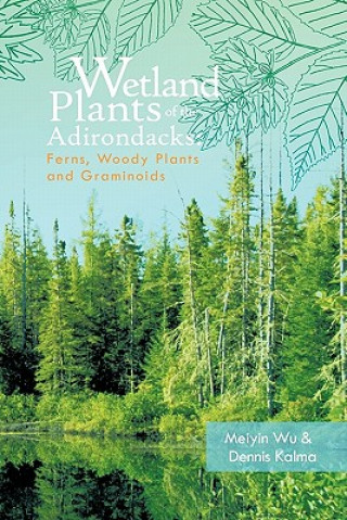 Kniha Wetland Plants of the Adirondacks Dennis Kalma