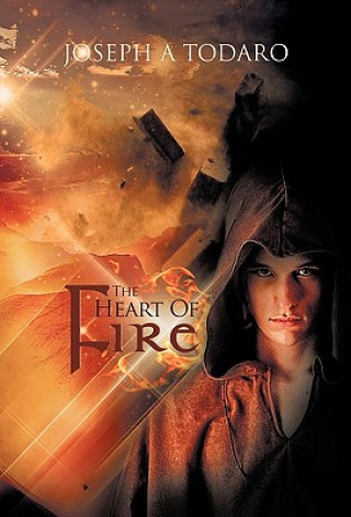 Buch Heart of Fire Joseph A Todaro