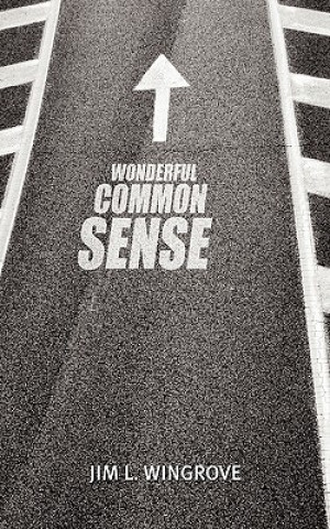 Kniha Wonderful Common Sense Jim L. Wingrove