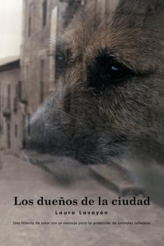 Book Duenos de La Ciudad Laura Lavayen