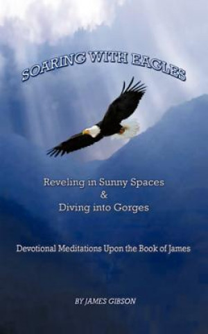 Carte Soaring with Eagles James Gibson