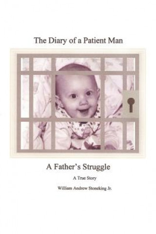 Kniha Diary of a Patient Man, A Father's Struggle Stoneking