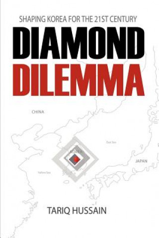 Kniha Diamond Dilemma Hussain