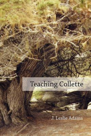 Kniha Teaching Collette False Witnesses & Teaching Collette J. Leslie Adams