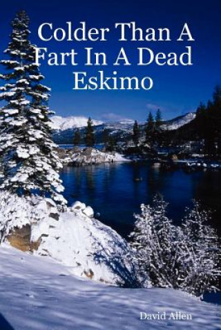Книга Colder Than a Fart in a Dead Eskimo David Allen