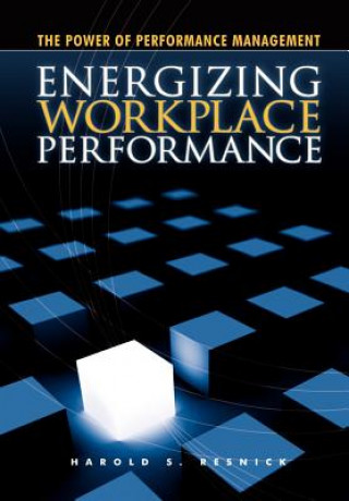 Kniha Energizing Workplace Performance Resnick