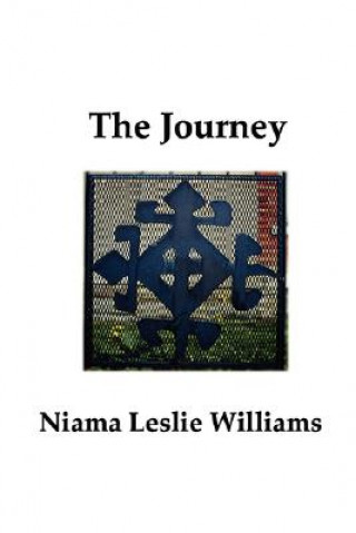 Könyv Journey Williams