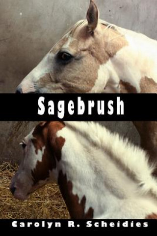 Livre Sagebrush Scheidies