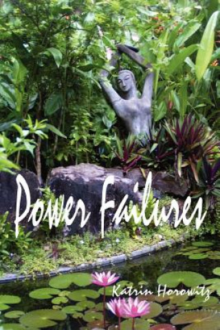 Книга Power Failures Katrin Horowitz