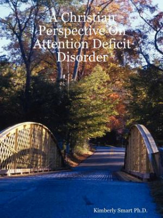 Kniha Christian Perspective On Attention Deficit Disorder Kimberly Smart Ph.D.