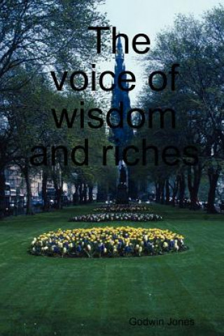 Kniha Voice of Wisdom and Riches Godwin Jones