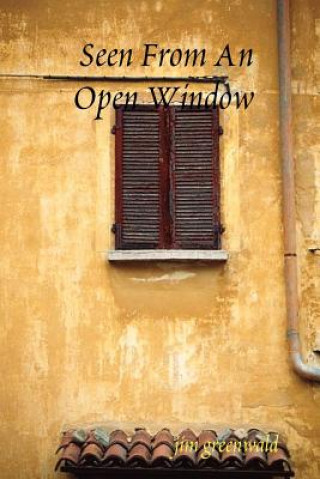 Knjiga Seen From An Open Window jim greenwald