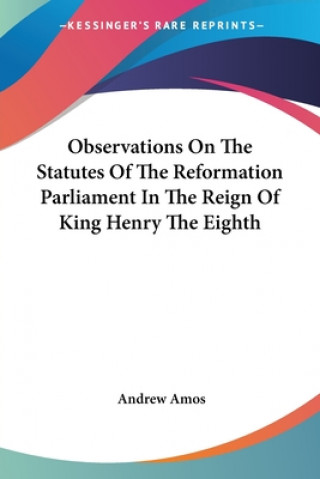 Kniha Observations On The Statutes Of The Reformation Parliament In The Reign Of King Henry The Eighth Andrew Amos