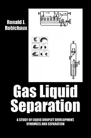 Boek Gas Liquid Separation Ronald J Robichaux