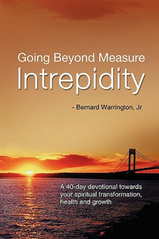 Kniha Going Beyond Measure--Intrepidity Warrington