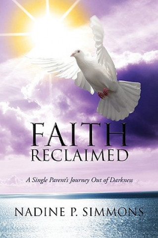 Book Faith Reclaimed Nadine P Simmons