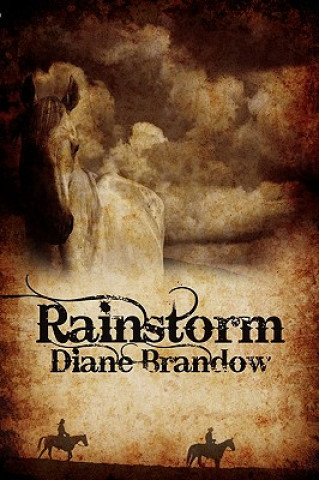 Książka Rainstorm Diane Brandow