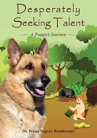 Libro Desperately Seeking Talent Segvic-Boudreaux