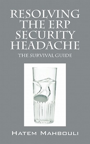 Buch Resolving the Erp Security Headache Hatem Mahbouli