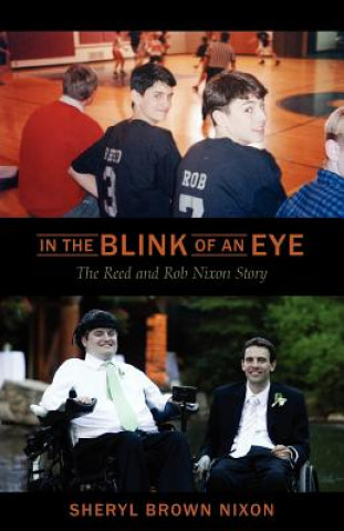 Livre In the Blink of an Eye Sheryl Brown Nixon